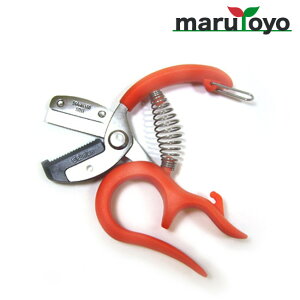 T{e ֐nn ،^ [ ͂  | ٖD ֗ n T{e ]