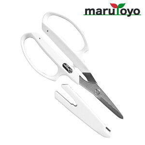 T{e \VCJbgvX No.1285SW [ ͂  | ֗ n T{e ]