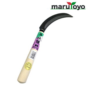 marutoyo p  [ J} mR ̂ G    ]