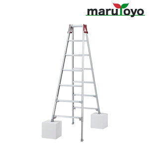 JH Hasegawa͂pr rLk RYZ-21cy@llzyszy[J[izylsz