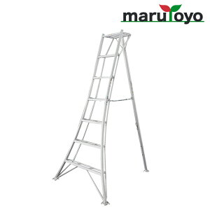 JH HasegawaOr O[Xebv GSC-210ay@llzyszy[J[izylsz