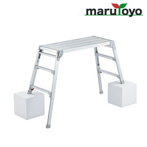 JH Hasegawa DRSW-1000cy@llzyszy[J[izylsz