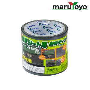 CmxbNX(_CI) hV[g Ce[v 80mm×10m O[ / ubN [ 悯 h V[g 悯V[g hV[g GV[g V[g OhV[g G G΍ Gh