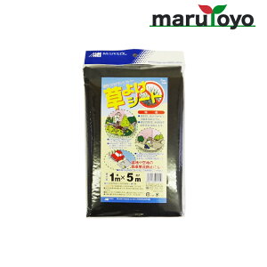 {}^C 悯V[g 1m×5m [ 悯 h V[g hV[g GV[g V[g OhV[g G G΍ Gh~ ]