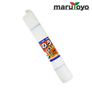 {}^C ŷ 48cm×62cm 10 zCg [ yX  n nlbg  o ۑ  ʕ G obO ЊQ Q ]