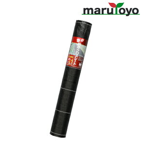 {}^C  hNXV[g 1m × 10m / 20m / 50m [ 悯 h V[g 悯V[g hV[g GV[g V[g OhV[g G G΍ Gh~ ]