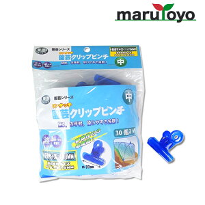 _Y ^b` |Nbvs`  u[ 30 [ Nbv s` s lbg V[g h sDz gl ؉ ]