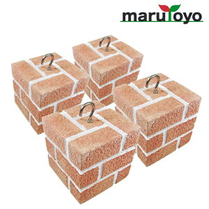 marutoyo KubN AvRbg / [v 5kg 1`4Zbg[\ EFCg ֗ 񂽂 d   Œ ubN 悯 sNjbN 䕗 h~  rj[ 킢 