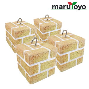 marutoyo KubN AvRbg / [v 5kg 1`4Zbg[\ EFCg ֗ 񂽂 d   Œ ubN 悯 sNjbN 䕗 h~  rj[ 킢 