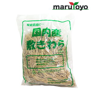 marutoyo }gR[|[V Y VR}` ~ 12L [ m }`  ƒ؉ ]