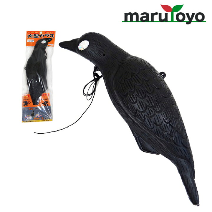 市場 PE防鳥網 400D 9×18m 鳥よけネット B50 網目75mm 東京戸張 60枚 オレンジ 市場 PE防鳥網 400D 9×18m 鳥よけネット B50 網目75mm 東京戸張 60枚 オレンジ