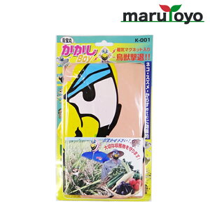  BOY K-001 [ h 悯 Q΍ 쏜 hObY   c hb b ]