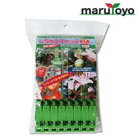 有限会社シーム 園芸用保持具 しちゅうキャッチ11 緑 24個入 S11G-24 [ 誘引 花 木 トマト ナス ]