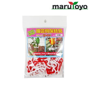 LЃV[ |pێ T|[gCh 50 SPW-P005 [ U c  |lbg  lbg 鐫A ΂̃J[e ]