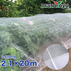 �V���Z�C �h���l�b�g 0.6mm 2.1m-20m �y �k�C���E����s�� �z