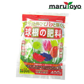 花ごころ 球根の肥料 400g【土】【肥料】【培養土】【野菜】【花】