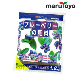 Ԃ u[x[̔엿 500g / 1.2kg [ y 엿 |{y   K[fjO | ]