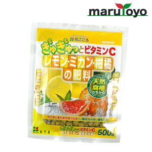 Ԃ E~JEk̔엿 500g [ y 엿 |{y   K[fjO | ]