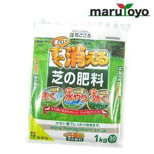 Ԃ ܂Ăł̔엿 1kg [ y 엿 |{y   K[fjO | ]