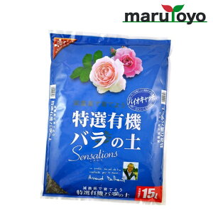 Ԃ IL@o̓y Sensations 15L [ y 엿 |{y   K[fjO | ]