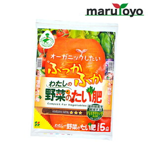 Ԃ 킽̖؂̂ 5L [ y 엿 |{y   K[fjO | ]