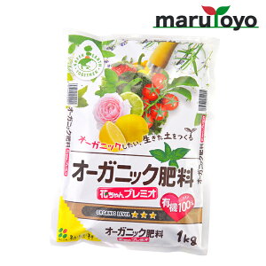 Ԃ I[KjbN엿Ԃv~I 500g / 1kg [ y 엿 |{y   K[fjO | ]