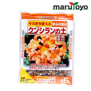 Ԃ NV̓y 5L [ y 엿 |{y   K[fjO | ]