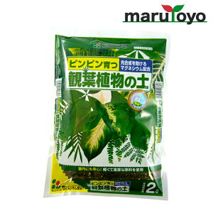 Ԃ ϗtA̓y 2L [ y 엿 |{y   K[fjO | ]