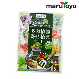 花ごころ 多肉植物寄せ植の土(ネルソル入) 5L [ 土 肥料 培養土 野菜 花 ガーデニング 園芸 ]