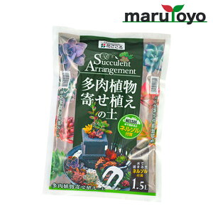 Ԃ A񂹐A̓y(l\) 1.5L [ y 엿 |{y   K[fjO | ]