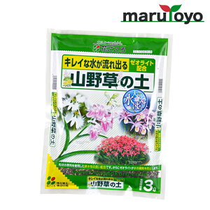 Ԃ R쑐̓y 3L [ y 엿 |{y   K[fjO | ]