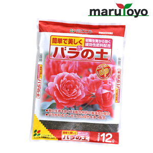 Ԃ o̓y 5L / 12L [ y 엿 |{y   K[fjO | KN ]