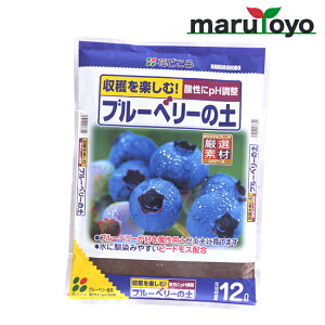 Ԃ u[x[̓y 5L / 12L [ y 엿 |{y   K[fjO | ]