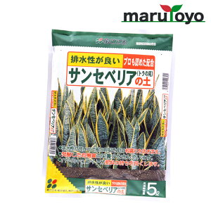 Ԃ TZxA̓y 5L [ y 엿 |{y   K[fjO | ]