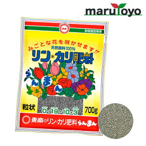  J엿܂񗱏 700g / 2kg [ y 엿 |{y   K[fjO | ]