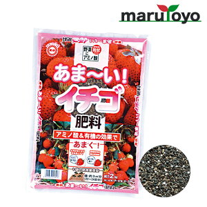  ܁`C`S엿 500g / 2kg [ y 엿 |{y   K[fjO |]