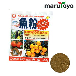   550g [ y 엿 |{y   K[fjO |]