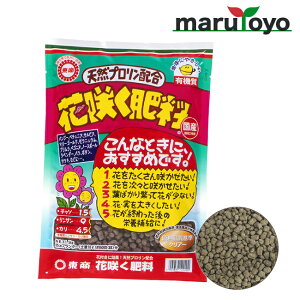  ԍ炭엿 500g / 1.5kg [ y 엿 |{y   K[fjO |]