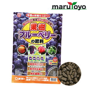  ʎEu[x[̔엿 500g / 1.5kg [ y 엿 |{y   K[fjO | ]