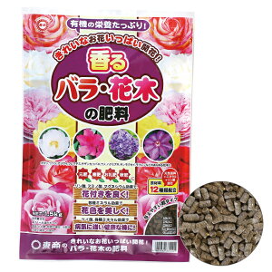  oEԖ؂̔엿 500g / 1.5kg [ y 엿 |{y   K[fjO | ]