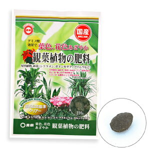  ϗtA̔엿 210g [ y 엿 |{y   K[fjO |