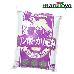 Ό e _EJ엿 {ӂĐD 2.5kg [ y 엿 |{y   K[fjO | ]