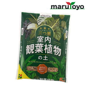 Ԃ Oc ϗtA̓y 5L [ y 엿 |{y   K[fjO | ]