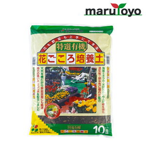 Ԃ IL@Ԃ|{y 2L / 5L / 10L / 12L [ y 엿 |{y   K[fjO | ]