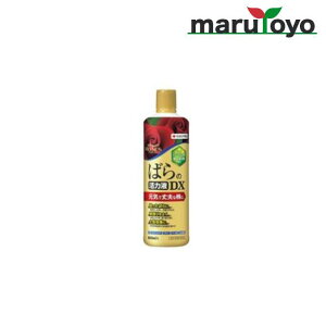 ZFw| }C[Y o͉̊tDX 800ml@ [ 엿   K[fjO | ]