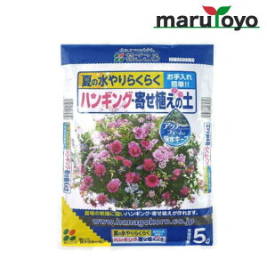 Ԃ nLO񂹐A̓y 5L [ 엿  T   K[fjO | ]