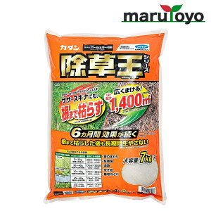 t}L[ I[L[  400g / 900g / 2kg / 3kg / 4kg / 7kgyTT XMi ZC^JA_`\E XXL _앨 ֗z