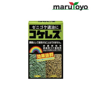���i�摜