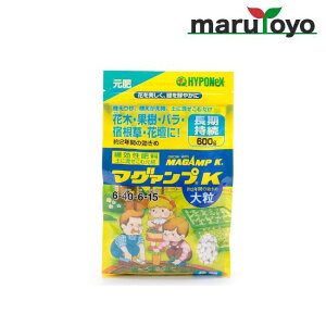 nC|lbNXWp }O@vK 嗱   600g [ 엿  T   K[fjO | ]