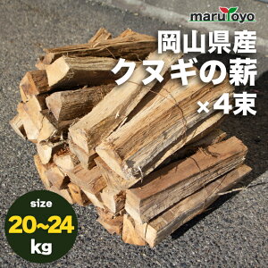 marutoyo RY NkM̐d Ԗ񔼔N 5`24kg [d maki ʂ J  Lt VR Lv gF ~ ]